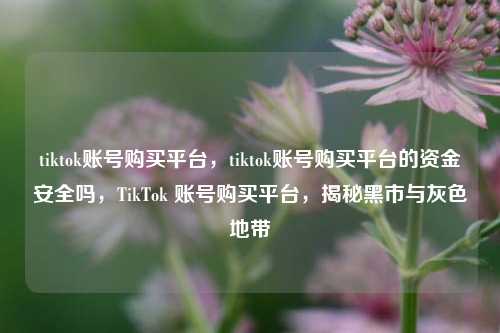 tiktok账号购买平台，tiktok账号购买平台的资金安全吗，TikTok 账号购买平台，揭秘黑市与灰色地带