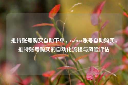 推特账号购买自助下单，twitter账号自助购买，推特账号购买的自动化流程与风险评估
