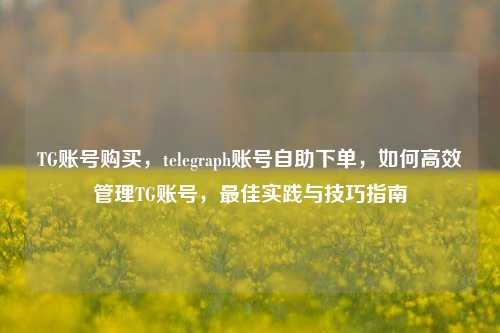 TG账号购买，telegraph账号自助下单，如何高效管理TG账号，最佳实践与技巧指南