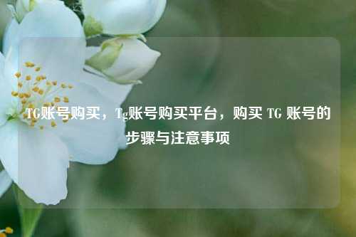 TG账号购买，Tg账号购买平台，购买 TG 账号的步骤与注意事项