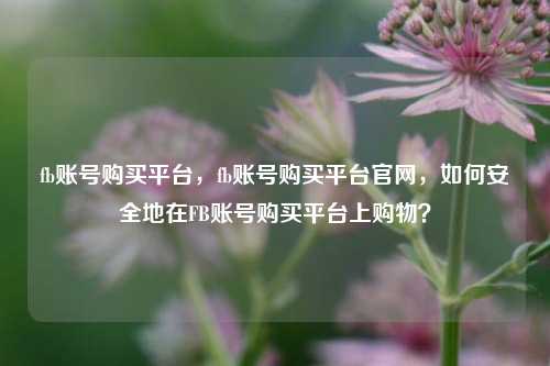 fb账号购买平台，fb账号购买平台官网，如何安全地在FB账号购买平台上购物？