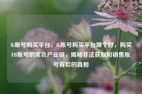 fb账号购买平台，fb账号购买平台哪个好，购买FB账号的黑色产业链，揭秘非法获取和销售账号背后的真相