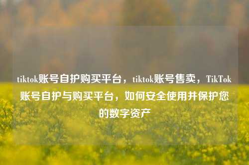 tiktok账号自护购买平台，tiktok账号售卖，TikTok账号自护与购买平台，如何安全使用并保护您的数字资产