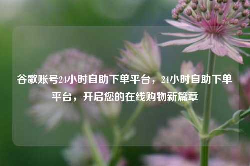 谷歌账号24小时自助下单平台	，24小时自助下单平台，开启您的在线购物新篇章  第1张