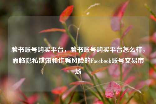 脸书账号购买平台，脸书账号购买平台怎么样，面临隐私泄露和诈骗风险的Facebook账号交易市场