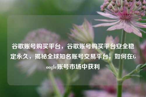 谷歌账号购买平台，谷歌账号购买平台安全稳定永久，揭秘全球知名账号交易平台，如何在Google账号市场中获利