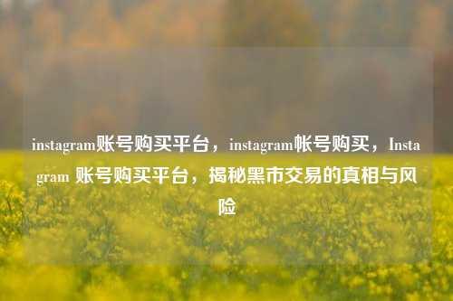 instagram账号购买平台，instagram帐号购买，Instagram 账号购买平台，揭秘黑市交易的真相与风险