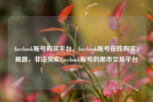 facebook帐号购买平台，facebook账号在线购买，揭露，非法买卖Facebook账号的黑市交易平台