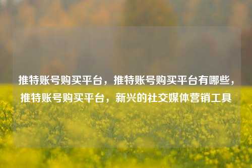 推特账号购买平台，推特账号购买平台有哪些，推特账号购买平台，新兴的社交媒体营销工具