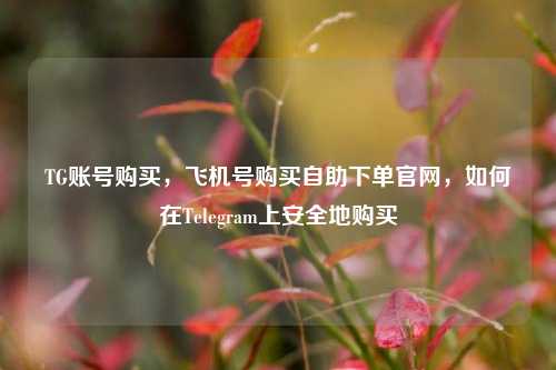 TG账号购买，飞机号购买自助下单官网，如何在Telegram上安全地购买