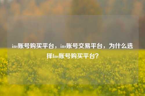 ins账号购买平台，ins账号交易平台，为什么选择Ins账号购买平台？