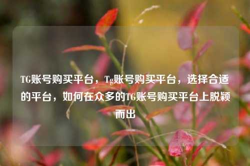 TG账号购买平台，Tg账号购买平台，选择合适的平台，如何在众多的TG账号购买平台上脱颖而出
