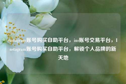 instagram账号购买自助平台，ins账号交易平台，Instagram账号购买自助平台，解锁个人品牌的新天地