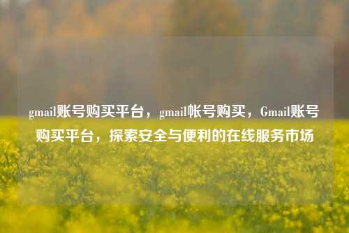 gmail账号购买平台，gmail帐号购买，Gmail账号购买平台，探索安全与便利的在线服务市场