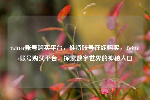 twitter账号购买平台，推特账号在线购买，Twitter账号购买平台，探索数字世界的神秘入口