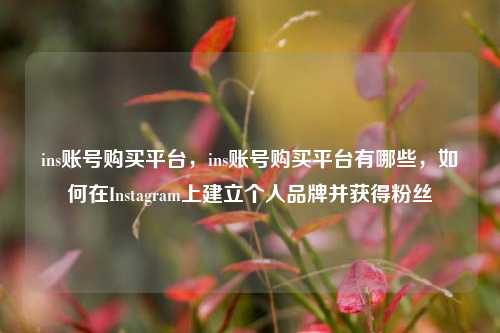 ins账号购买平台，ins账号购买平台有哪些，如何在Instagram上建立个人品牌并获得粉丝