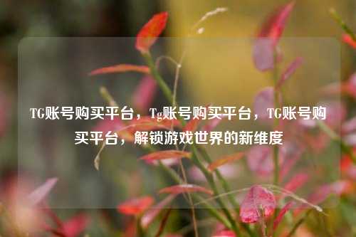 TG账号购买平台，Tg账号购买平台，TG账号购买平台，解锁游戏世界的新维度