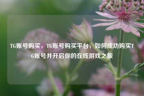 TG账号购买，TG账号购买平台，如何成功购买TG账号并开启你的在线游戏之旅