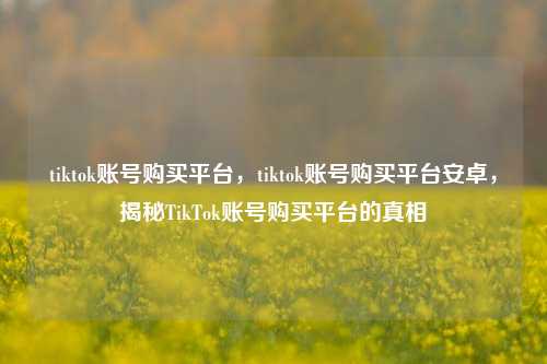 tiktok账号购买平台，tiktok账号购买平台安卓，揭秘TikTok账号购买平台的真相