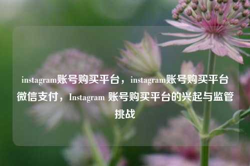 instagram账号购买平台，instagram账号购买平台微信支付，Instagram 账号购买平台的兴起与监管挑战