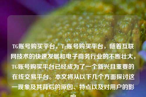 TG账号购买平台，Tg账号购买平台，随着互联网技术的快速发展和电子商务行业的不断壮大，TG账号购买平台已经成为了一个新兴且重要的在线交易平台。本文将从以下几个方面探讨这一现象及其背后的原因、特点以及对用户的影响