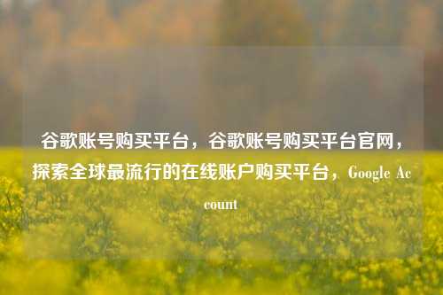 谷歌账号购买平台，谷歌账号购买平台官网，探索全球最流行的在线账户购买平台，Google Account