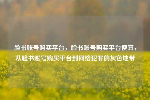 脸书账号购买平台，脸书账号购买平台便宜，从脸书账号购买平台到网络犯罪的灰色地带