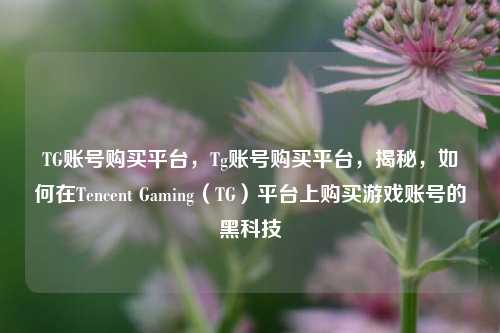 TG账号购买平台，Tg账号购买平台，揭秘，如何在Tencent Gaming（TG）平台上购买游戏账号的黑科技