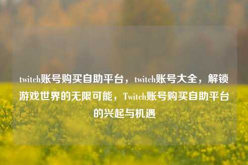 twitch账号购买自助平台，twitch账号大全，解锁游戏世界的无限可能，Twitch账号购买自助平台的兴起与机遇