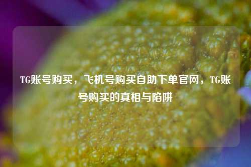 TG账号购买，飞机号购买自助下单官网，TG账号购买的真相与陷阱