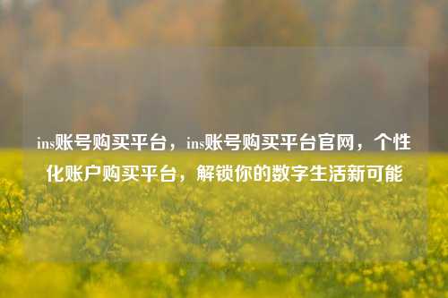 ins账号购买平台，ins账号购买平台官网，个性化账户购买平台，解锁你的数字生活新可能
