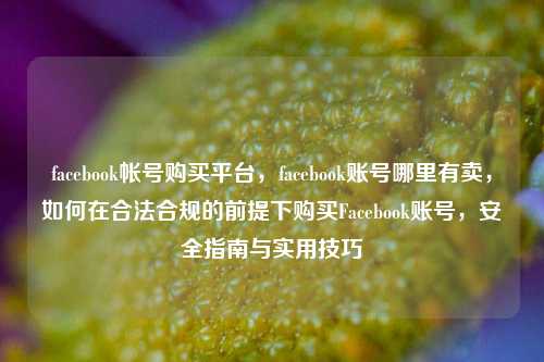 facebook帐号购买平台，facebook账号哪里有卖，如何在合法合规的前提下购买Facebook账号，安全指南与实用技巧