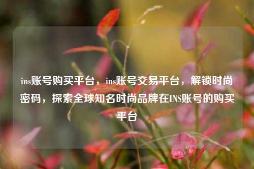 ins账号购买平台，ins账号交易平台，解锁时尚密码，探索全球知名时尚品牌在INS账号的购买平台