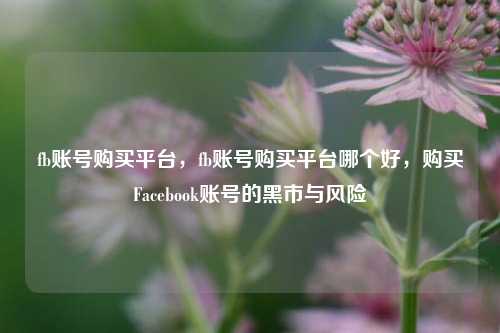 fb账号购买平台，fb账号购买平台哪个好，购买Facebook账号的黑市与风险