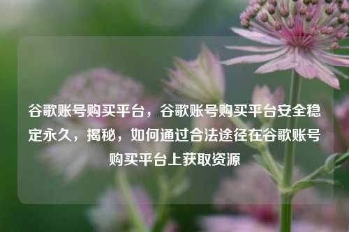 谷歌账号购买平台，谷歌账号购买平台安全稳定永久，揭秘，如何通过合法途径在谷歌账号购买平台上获取资源