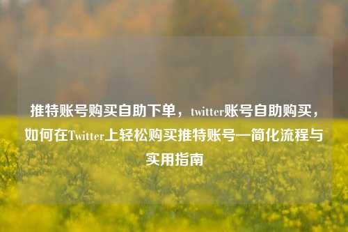 推特账号购买自助下单，twitter账号自助购买，如何在Twitter上轻松购买推特账号—简化流程与实用指南