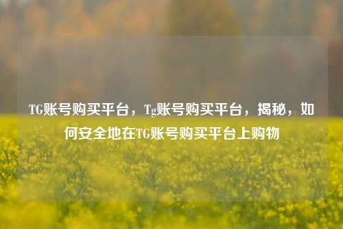 TG账号购买平台，Tg账号购买平台，揭秘，如何安全地在TG账号购买平台上购物