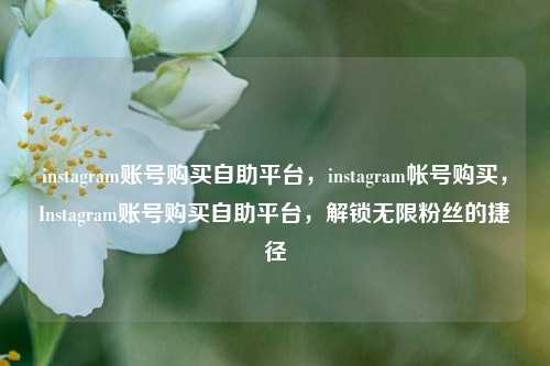 instagram账号购买自助平台，instagram帐号购买，Instagram账号购买自助平台，解锁无限粉丝的捷径