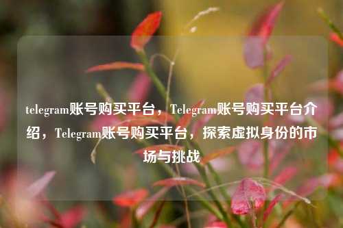 telegram账号购买平台，Telegram账号购买平台介绍，Telegram账号购买平台，探索虚拟身份的市场与挑战
