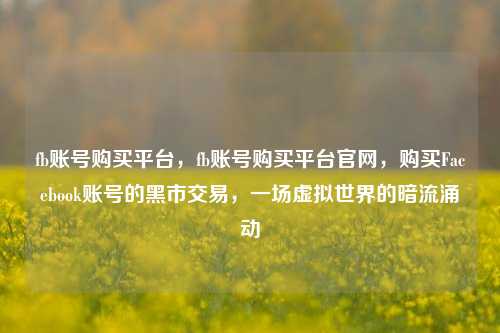 fb账号购买平台，fb账号购买平台官网，购买Facebook账号的黑市交易，一场虚拟世界的暗流涌动
