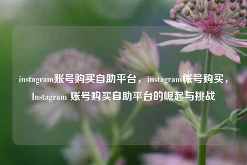 instagram账号购买自助平台，instagram帐号购买，Instagram 账号购买自助平台的崛起与挑战
