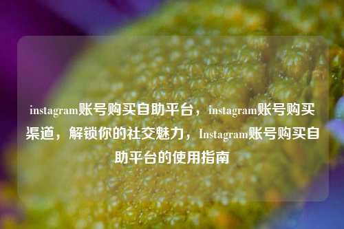 instagram账号购买自助平台，instagram账号购买渠道，解锁你的社交魅力，Instagram账号购买自助平台的使用指南