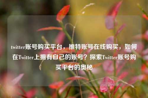 twitter账号购买平台，推特账号在线购买，如何在Twitter上拥有自己的账号？探索Twitter账号购买平台的奥秘