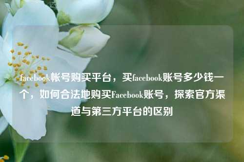 facebook帐号购买平台，买facebook账号多少钱一个，如何合法地购买Facebook账号，探索官方渠道与第三方平台的区别