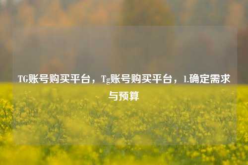 TG账号购买平台，Tg账号购买平台，1.确定需求与预算  第1张