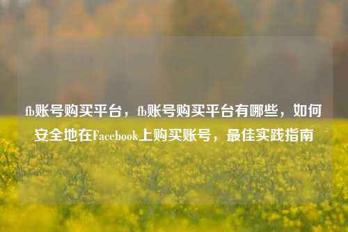 fb账号购买平台，fb账号购买平台有哪些，如何安全地在Facebook上购买账号，最佳实践指南