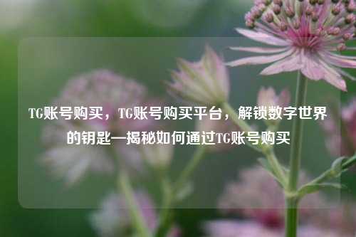 TG账号购买，TG账号购买平台，解锁数字世界的钥匙—揭秘如何通过TG账号购买