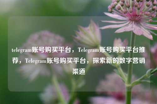 telegram账号购买平台，Telegram账号购买平台推荐，Telegram账号购买平台，探索新的数字营销渠道