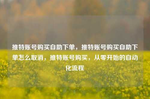 推特账号购买自助下单，推特账号购买自助下单怎么取消，推特账号购买，从零开始的自动化流程