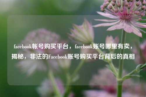 facebook帐号购买平台，facebook账号哪里有卖，揭秘，非法的Facebook账号购买平台背后的真相